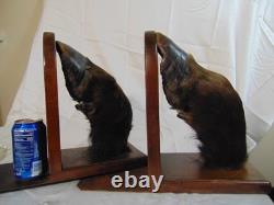 Pr Vintage Bison Hoof Taxidermy Bookends Display Books Hunting Lodge Library