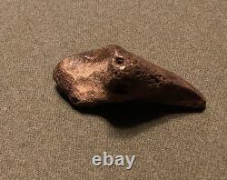 RARE Fossil Bison Unassosiated Foot, Great Collectible Metatarsal Kansas