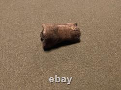 RARE Fossil Bison Unassosiated Foot, Great Collectible Metatarsal Kansas