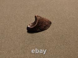 RARE Fossil Bison Unassosiated Foot, Great Collectible Metatarsal Kansas
