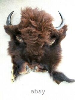 REAL Tanned Colorado Bison Buffalo Head Hide withHorns Display, Mount, Taxidermy