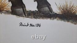 Ray Harm American Bison (buffalo) 46 Year Old Print In Great Condition- Beauty