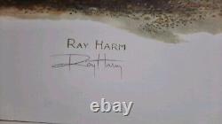 Ray Harm American Bison (buffalo) 46 Year Old Print In Great Condition- Beauty