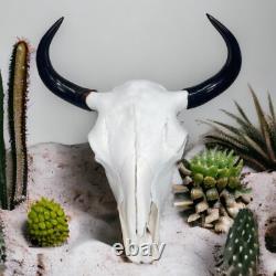 Real American Bison/Buffalo Skull With Horn Caps From Custer State Park