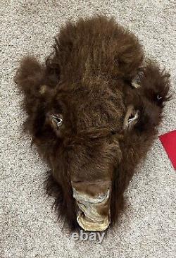 Real American Buffalo / Bison Head Face Taxidermy Powwow Native American Soft