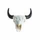 Real Bone Buffalo (Bison) Skull with Free Shipping