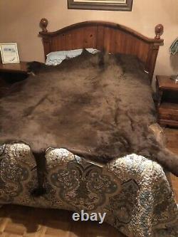 Real Buffalo / Bison Fresh Tanned Taxidermy Rug Hide Brand New