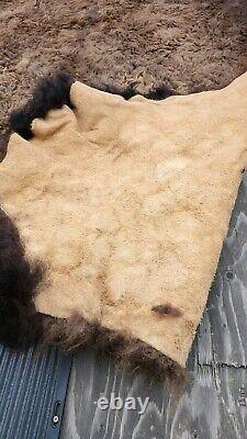 Real Buffalo / Bison Fresh Tanned Taxidermy Rug Hide Brand New