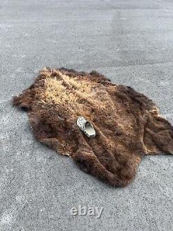 Real Buffalo / Bison Fresh Tanned Taxidermy Rug Hide Brand New