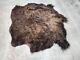 Real Buffalo / Bison Fresh Taxidermy Rug Hide Fbh1. 62x65