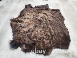 Real Buffalo / Bison Fresh Taxidermy Rug Hide Fbh1. 62x65