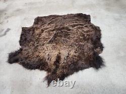 Real Buffalo / Bison Fresh Taxidermy Rug Hide Fbh1. 62x65