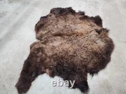Real Buffalo / Bison Fresh Taxidermy Rug Hide Fbh2 56x66