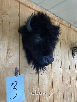 Real Buffalo / Bison Head Taxidermy Mount New Neck Mount (you Get One Pictured)