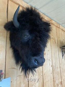 Real Buffalo / Bison Head Taxidermy Mount New Neck Mount (you Get One Pictured)