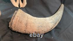 Real, Natural Bison Skull with Horn Caps
