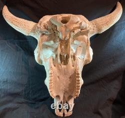 Real, Natural Bison Skull with Horn Caps