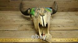 Rustic Western Style Bull Buffalo Skull(horse head 2) PICK #16 /