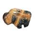 SEPTARIAN Buffalo (Bison) Polished Precious Rock 4.25 x 3.25