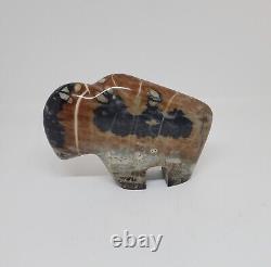 SEPTARIAN Buffalo (Bison) Polished Semi-Precious Rock 4.25 x 3.25 Pls Read