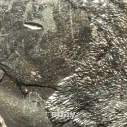 SPEARED BISON REVERSE 2005-P Jefferson Nickel Bison Reverse