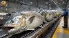 Salmon Farming Farming And Harvesting Of Salmon Salmon Processing In Fish Factory