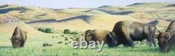 Scott Patton Art Endless Plains, Endless Herds Western Wildlife Bison Print