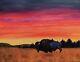 Scott Patton Art Evening Brilliance Bison Original Western Wildlife Painting