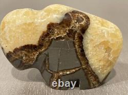 Septarian Crystal Carved Buffalo Bison Adult Baby Pair Utah Dragon Stone Geode