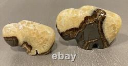 Septarian Crystal Carved Buffalo Bison Adult Baby Pair Utah Dragon Stone Geode