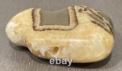 Septarian Crystal Carved Buffalo Bison Adult Baby Pair Utah Dragon Stone Geode