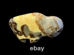 Septarian Hand Carved Buffalo Bison Polished Stone