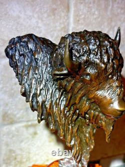 Sharles Bison Buffalo Bronze Sculpture #2 Loveland Colorado