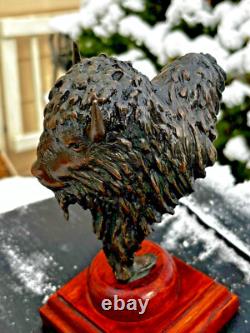 Sharles Bison Buffalo Bronze Sculpture #2 Loveland Colorado