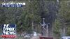 Shocking Video Bison Sends Tourist Flying At Yellowstone National Park