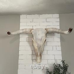 Skeleton Bison Bull Skull Wall Decor Cow Skull Wall Decor LonghornHead Sculpture