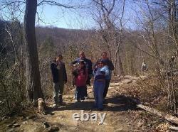 Snow Bison Original Expressionism Acrylic Abstract Canvas