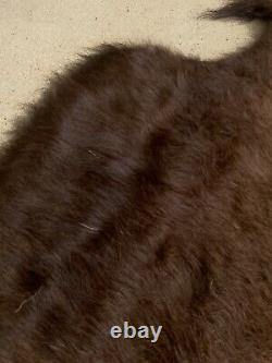 Stunningly Beautiful Soft And Cozy Underfoot Extra Large Bison Buffalo Hide/Rug