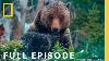 Surviving Grand Teton America S National Parks Full Episode Wild West Wonders