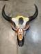 TAXIDERMY Big Old Buffalo/Bison/Skull/Herd Bull/Native American designs-painting