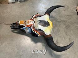 TAXIDERMY Big Old Buffalo/Bison/Skull/Herd Bull/Native American designs-painting