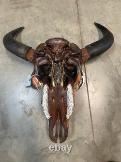 TAXIDERMY Big Old Buffalo/Bison/Skull/Herd Bull/Native American designs-painting