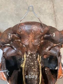 TAXIDERMY Big Old Buffalo/Bison/Skull/Herd Bull/Native American designs-painting