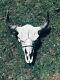 TAXIDERMY Big Old Buffalo/Bison/Skull/Herd Bull/logCabin/SouthWest/Hunting/Lodge