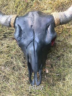 TAXIDERMY Big Old Buffalo/Bison/Skull/Herd Bull/logCabin/SouthWest/Hunting/Lodge