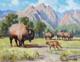 TOM HAAS painting'Summer Range' oil 11x14 Wyoming Grand Tetons buffalo