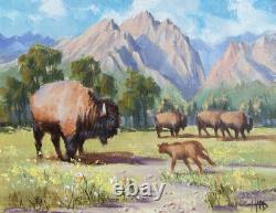 TOM HAAS painting'Summer Range' oil 11x14 Wyoming Grand Tetons buffalo