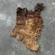 Tanned Woods Bison Buffalo Robe Blanket Leather Soft