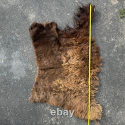 Tanned Woods Bison Buffalo Robe Blanket Leather Soft