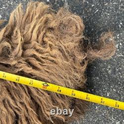 Tanned Woods Bison Buffalo Robe Blanket Leather Soft